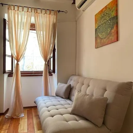 Harry's House Murter