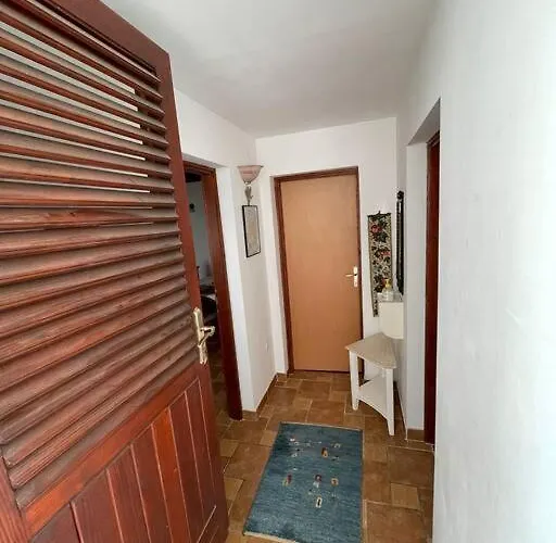 Harry's House ムルテル