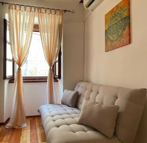 Harry's House ムルテル